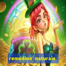 remedios naturais para diabetes